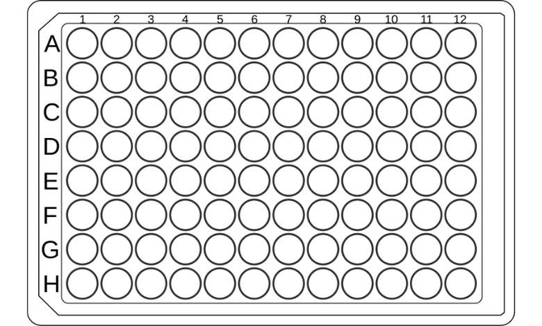 96 Well Plate Template
